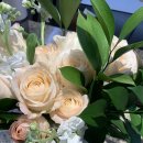 장미 | 기념일선물 추천 생화 꽃다발 택배 할미꽃 장미다발 후기