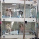 한밭동물병원 이미지