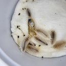 용자농장 이미지