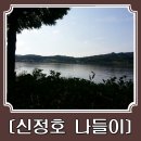 성웅목장 | [천안갈만한곳] 신정호나들이