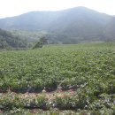 평창 수항리사지 이미지