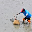 신안산낙지 이미지