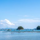 자란만마을 이미지