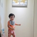 네이티브초이스