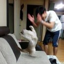 바른메딕스 네이버블로그