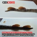 ★★ 흑산도 홍어 코로나 이야기 이미지