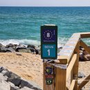 유로이비시 이미지