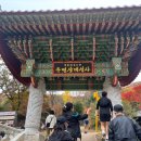 남부순환로328길 49__ 이미지