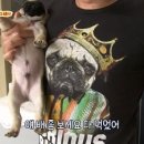 고관로 이미지