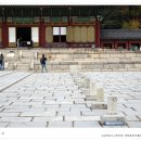 수진충전소 | [오블완 챌린지 10일] 현장답사 &lt;창덕궁-국립중앙박물관(식사, 관람)-헌인릉-복귀(모란역)&gt;
