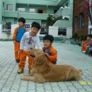 마루유치원 이미지