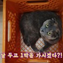 캠프포지션 | 겨울 뷰맛집, 춘천 캠프포지션에서 전세캠핑!