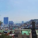 금수사 이미지