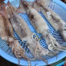 고현수산 - 남해군 강진로488번길 11-1 | 고현수산