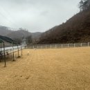 라지독스 네이버블로그