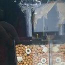 별빛수족관 이미지