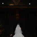 Viva 유도 | [WEDDING 19.] 더링크호텔 링크홀 식순 / 주례없는 결혼식 / 식순 및 대본 공유