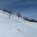 청춘목장 이미지