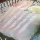 세븐일레븐 남양주장현점 | (진접)장현초밥맛집 하루하나스시에서 참치회먹고왔어여~!!