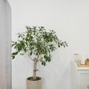 심리상담센터 진담소 | [수원 부부상담] 진심을 담은 부부커플 전문 심리상담센터 ‘진담소’