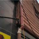 JK태권도장 이미지