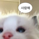 [한국주택금융공사(HF)] 인턴일지 1 (11-12월)