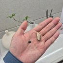 킴스보청기센타 이미지