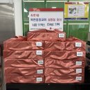 옥련