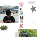 머리미드미 | 구래 ? 구례 🝮ᵎ