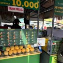 김빈「달팽이」 | [여행] 나트랑 4박 6일 여행기 - 2편