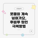 헬시퀸