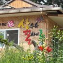 산수유길사이로 네이버블로그