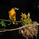 대학공원2 이미지