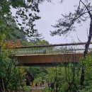 솔내음과 물소리 이미지