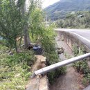 중앙탑면사무소 이미지