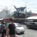 주문진초등학교 이미지