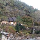 자연호