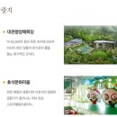 휘닉스파크관광단지 이미지