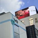 압구정메이트동물병원 | 드디어 받은 울쎄라 , 압구정 v&amp;mj 피부과 솔직후기