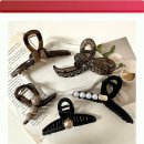 셀렉트디 이미지