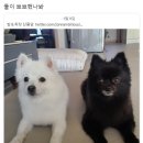 오엠지