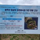 미르빌 네이버블로그