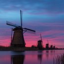 내마음의 풍차 이미지