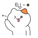 호시타코야끼 이미지