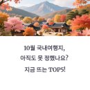 해뜨는힐링하우스 | 10월 국내여행지, 아직도 못 정했나요? 지금 뜨는 TOP5!