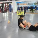 팀아트 복싱 이미지
