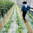 중천농장 이미지