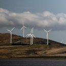 eco green farm 이미지