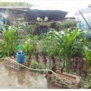 소 외양간 이미지