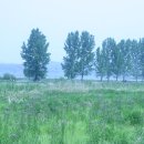 풍경(오월의 이야기 이미지